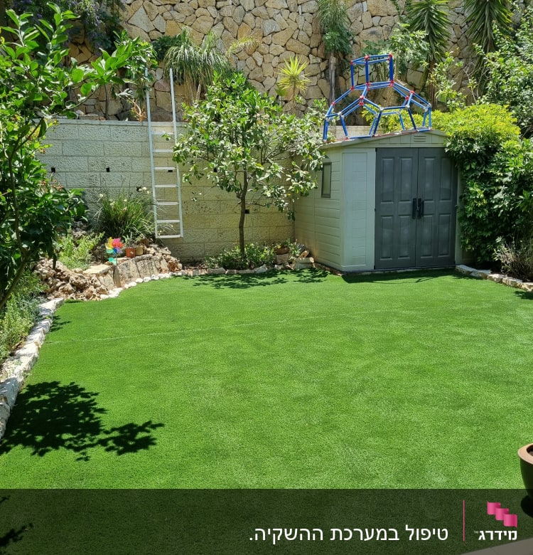 דשא סינתטי, עצים, מחסן גינה, סולם לבן